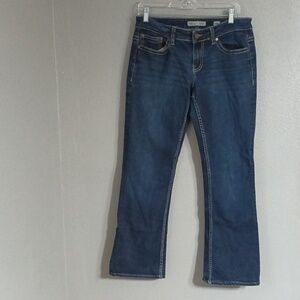 BKE Payton Jeans Size 29x29